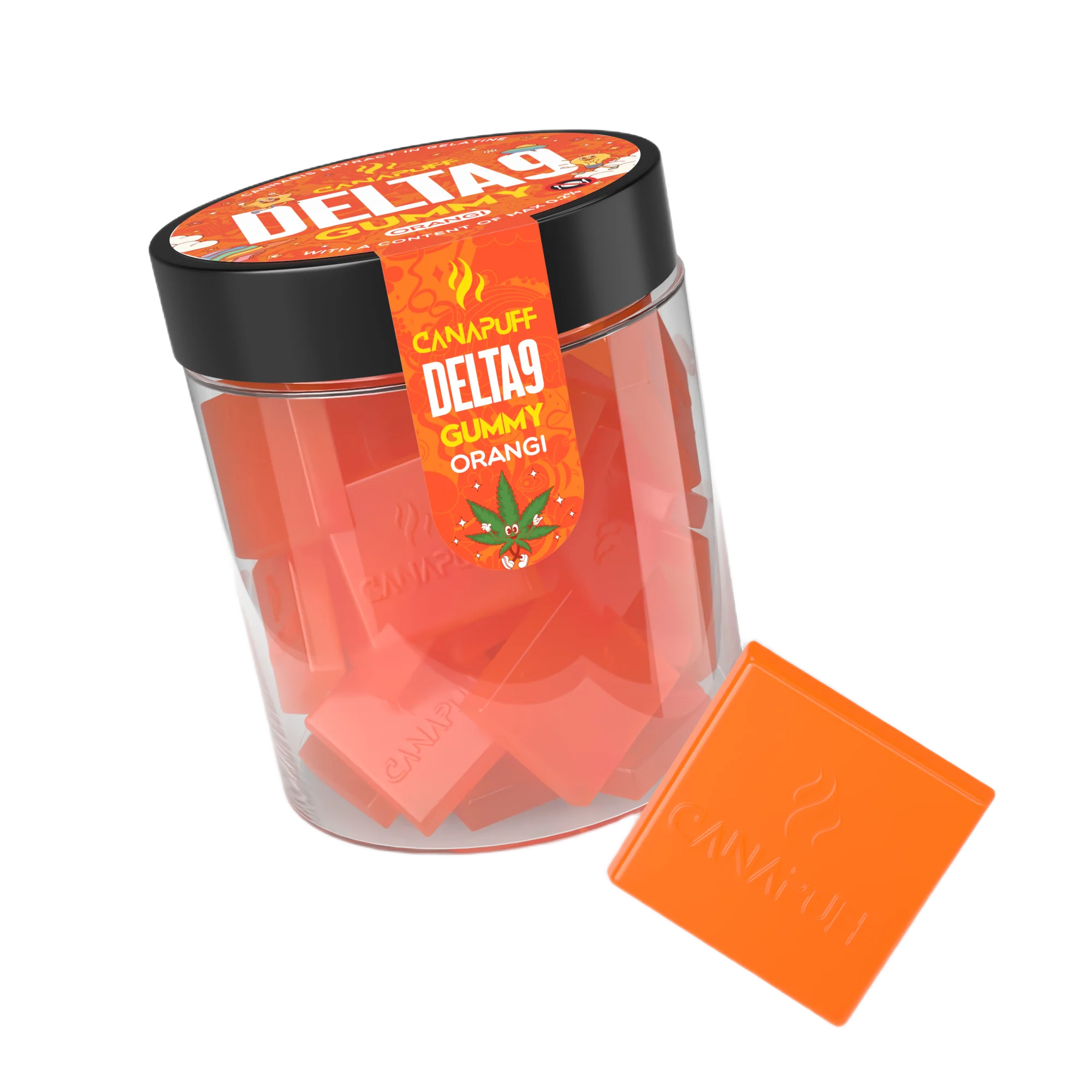 Imagem do produto 12